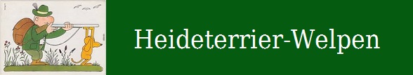Bild "Startseite:index1.jpg"